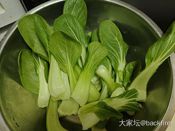 咸肉菜饭_美食