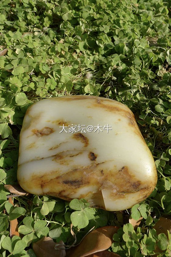 腊月初一，4.9kg原料准备开动_微商网店商家商户玉工和田玉