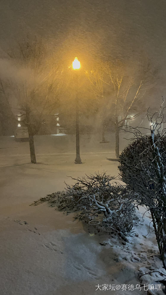 漫天飞雪，最开心的是孩子们，快10pm还不肯进来_育教亲子