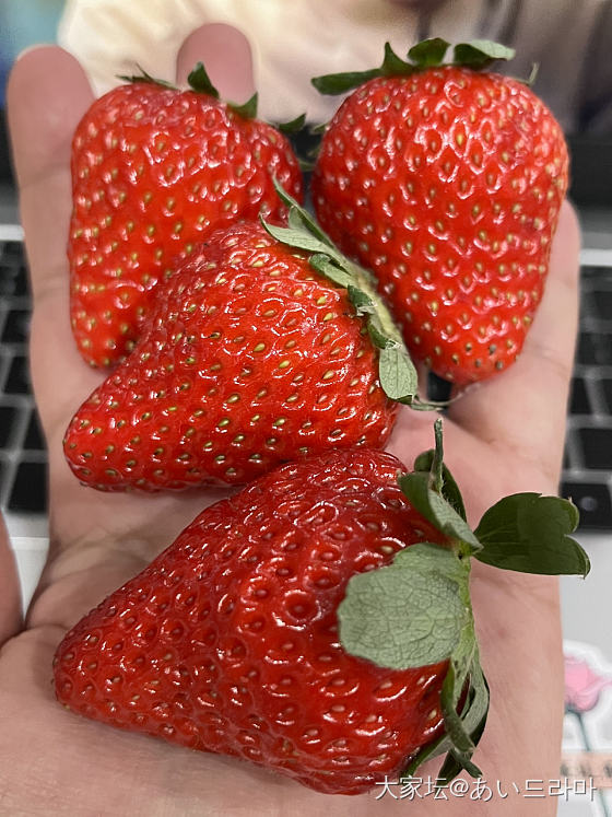 当地草莓_水果美食