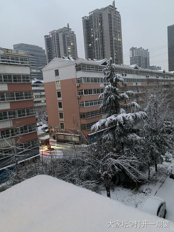 2024的第一场雪_景色