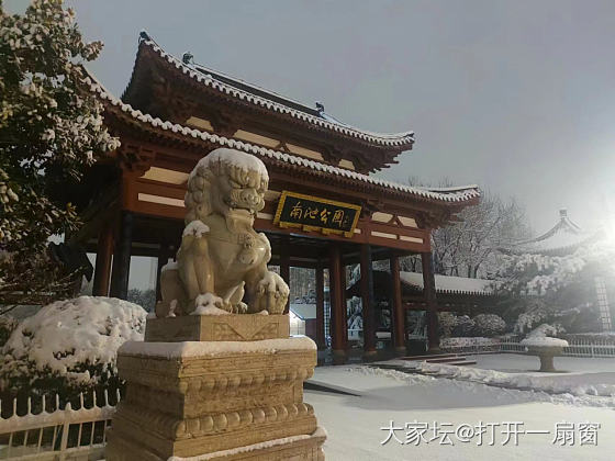 2024的第一场雪_景色