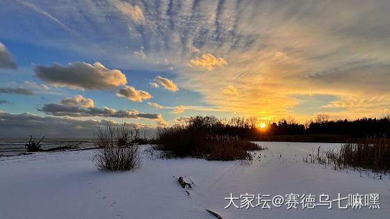 零下十二度，冬天的野外是很危险的_景色