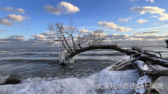 零下十二度，冬天的野外是很危险的_景色