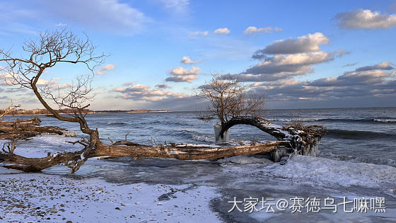 零下十二度，冬天的野外是很危险的_景色