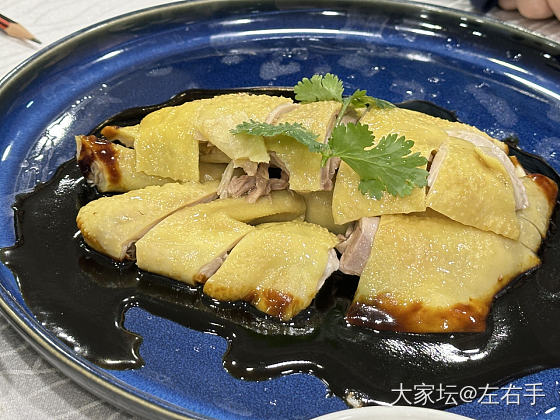 鸽子蛋自由了家人们_集散地