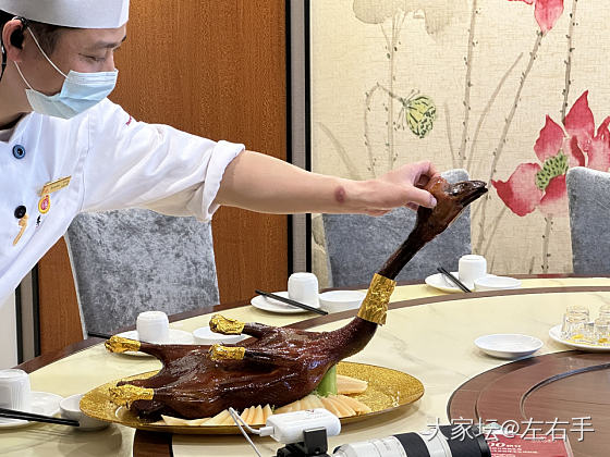 鸽子蛋自由了家人们_集散地