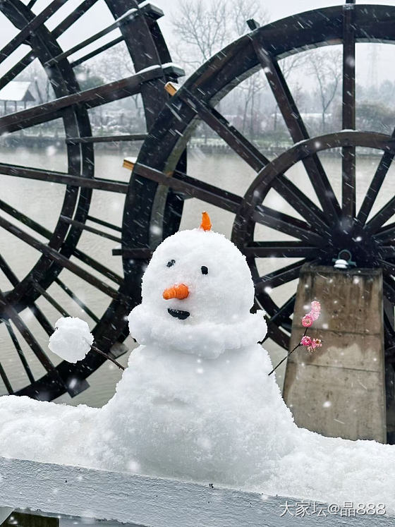 很多年没有下过这么大的雪了。_景色