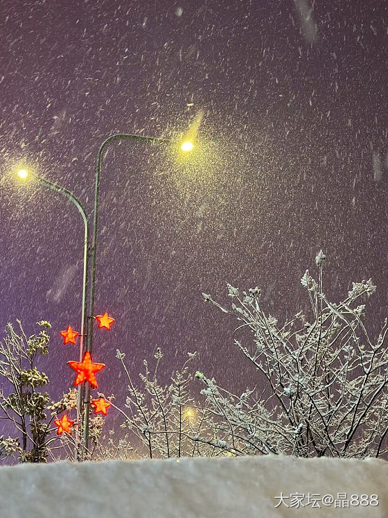 很多年没有下过这么大的雪了。_景色