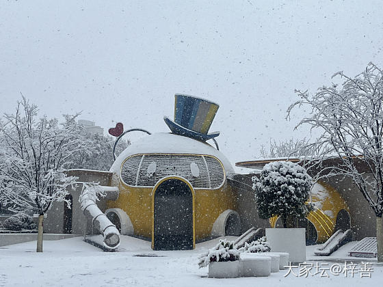 浙G的雪_景色