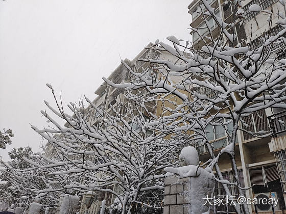 浙G的雪_景色