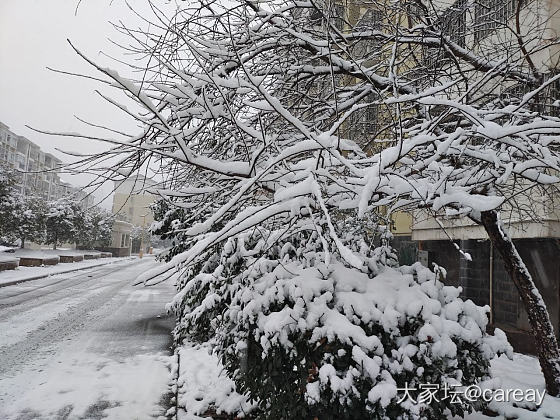 浙G的雪_景色