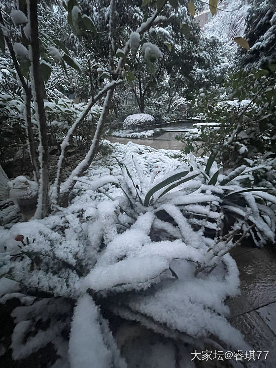 下雪了❄_南红和田玉