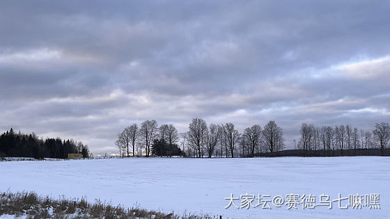 自热米饭滑雪必备_闲聊