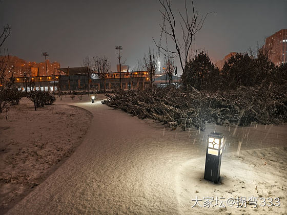 你们看，下雪了哦~_景色