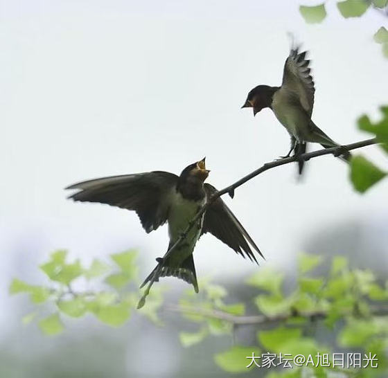 致现在的自己！_闲聊