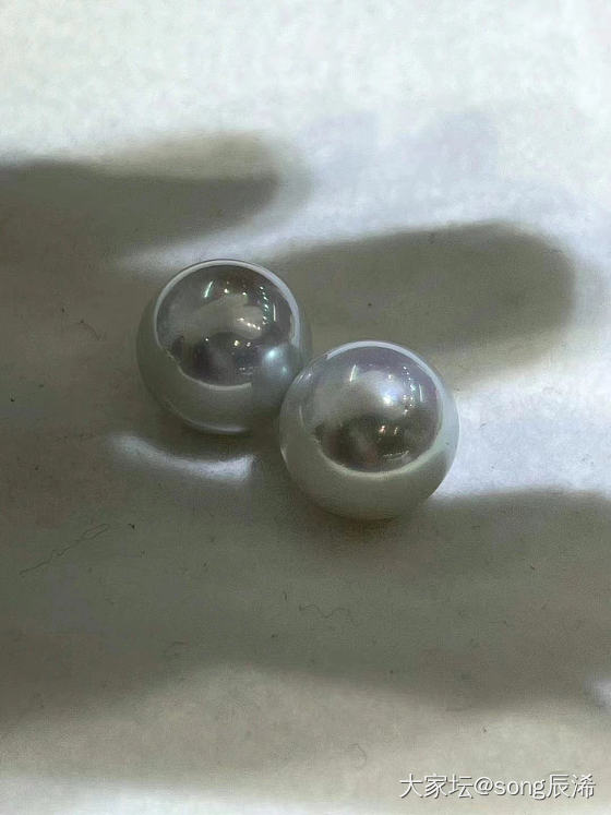 一对奇怪的澳白_珍珠