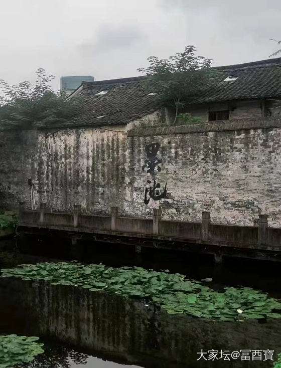 3.8节想去黄山求攻略_黄山旅游