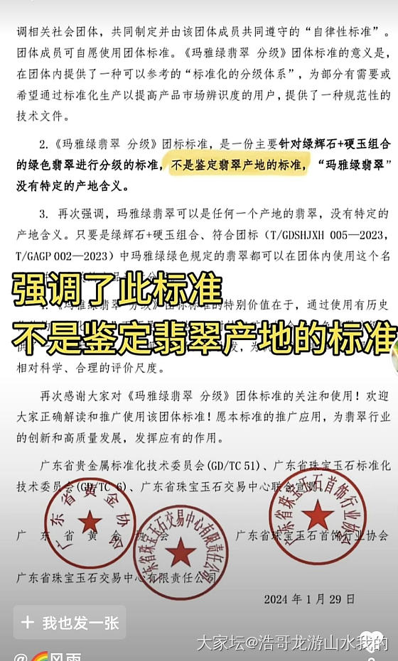 专家说了，玛雅绿翡翠不等于危料，它可以是出自任何产地的翡翠_翡翠