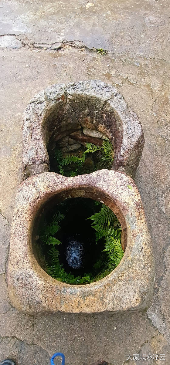 惊蛰时节看了个婚庆博物馆_旅游闲聊
