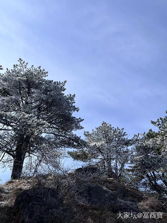 黄山一日游
祝女神们：节日快乐_旅游