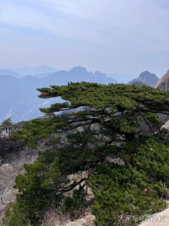 黄山一日游
祝女神们：节日快乐_旅游