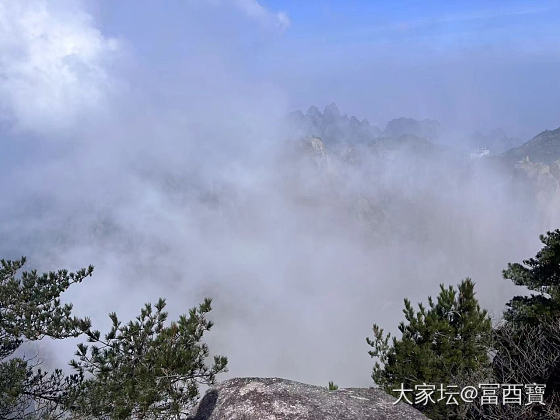 黄山一日游
祝女神们：节日快乐_旅游