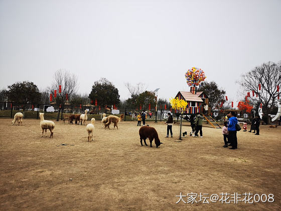 植树节快乐_旅游