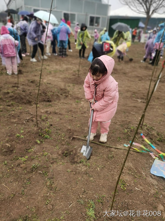 植树节快乐_旅游