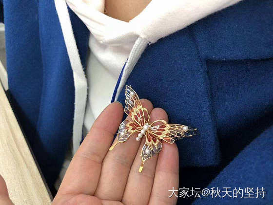 珐琅蝴蝶胸针吊坠两用_胸饰