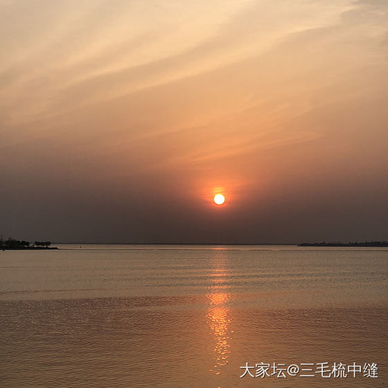 百香籽二条，拖延症重度患者，历时五年完成。_文玩