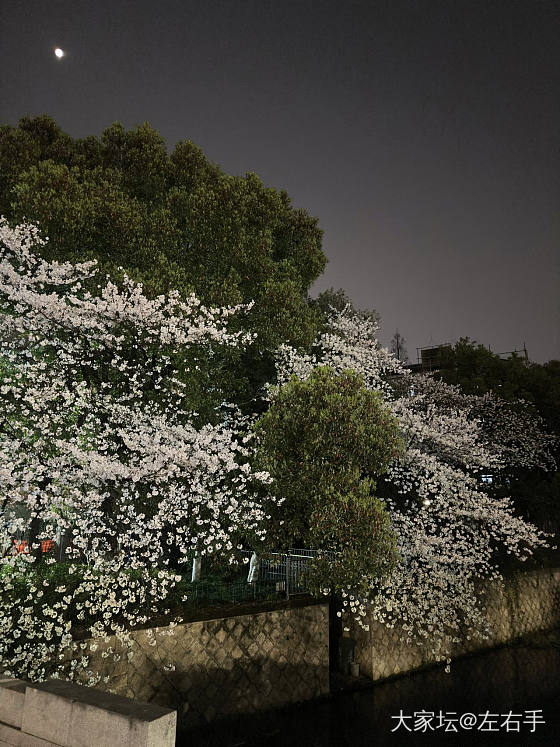 生活不能没有音乐和美景_闲聊