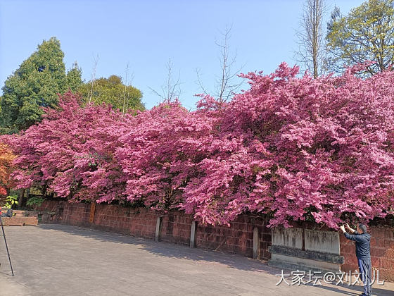 出游老寺，法王寺_旅游