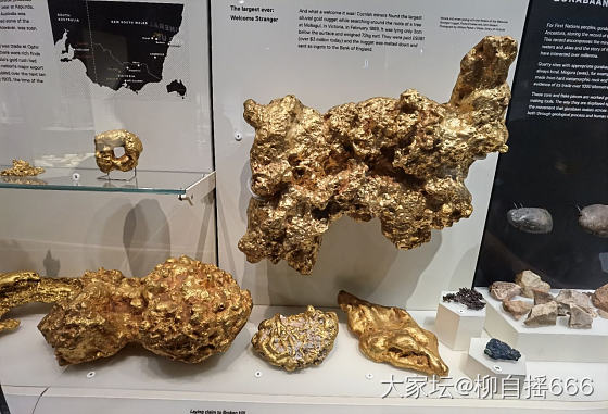 价值超4亿RMB的天然金块！😍_矿物标本金