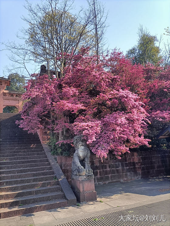 至今，最不后悔与最后悔_闲聊