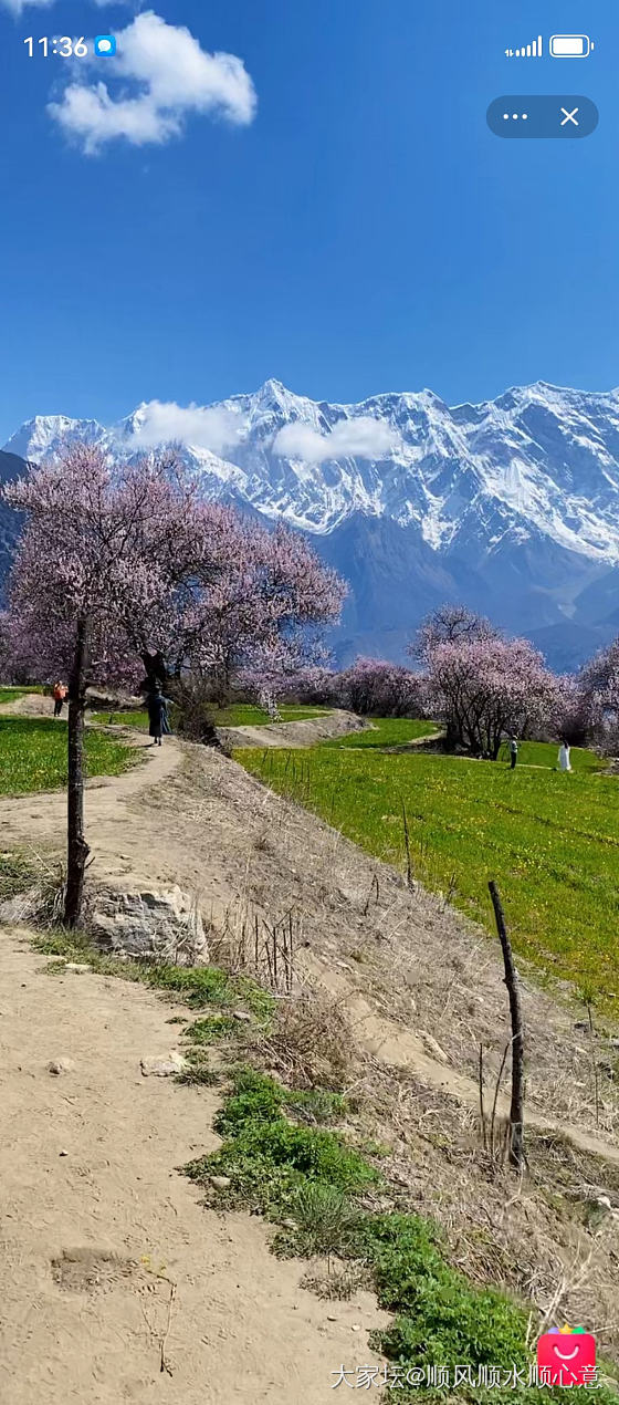 真漂亮啊_旅游