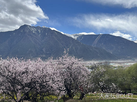 真漂亮啊_旅游