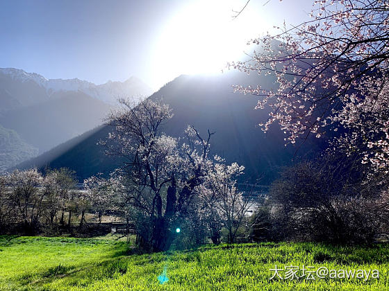 真漂亮啊_旅游