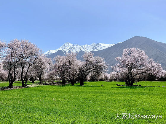 真漂亮啊_旅游