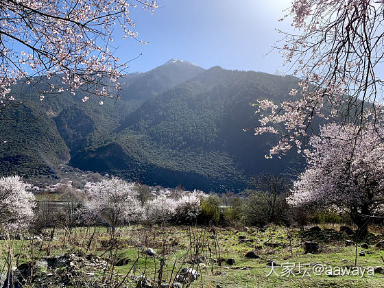 真漂亮啊_旅游