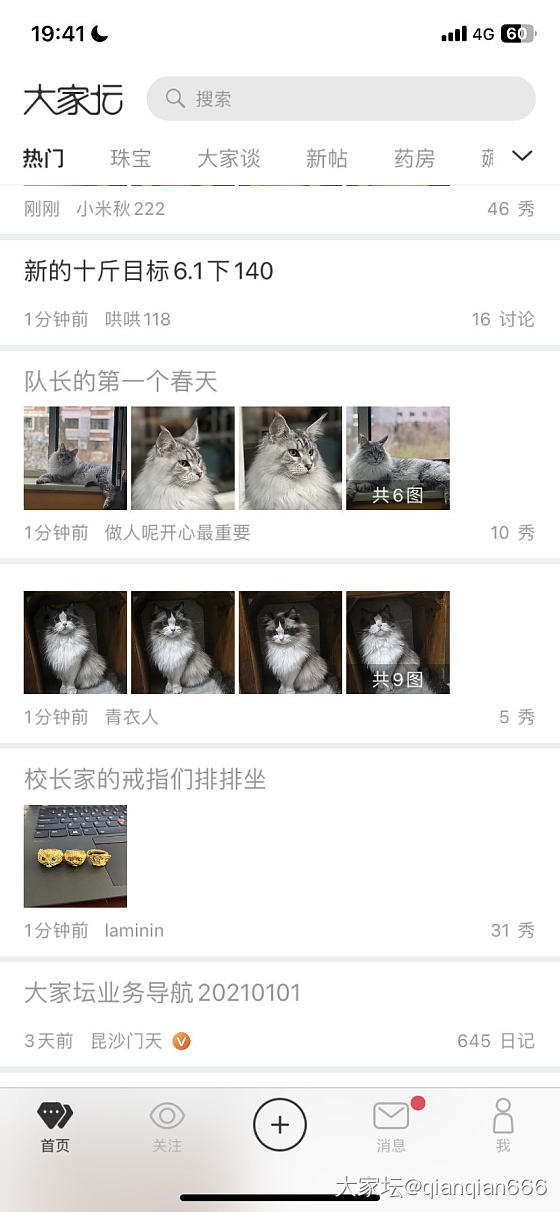 队长的第一个春天_猫