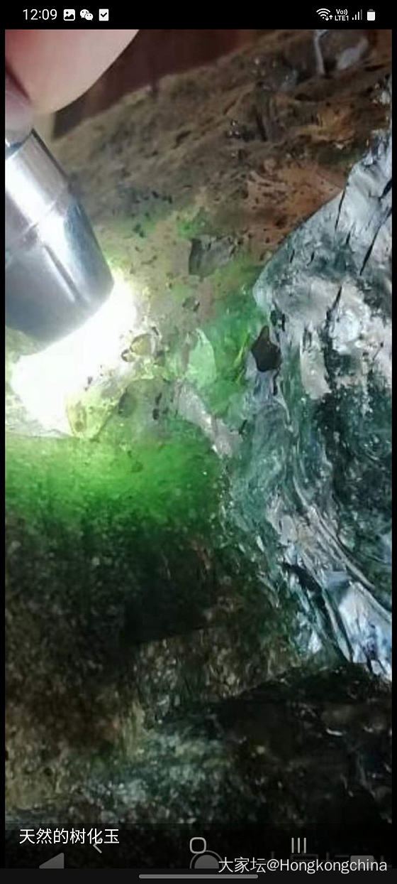 冰玻璃種滿緑樹化玉，6.2公斤重，在四月二號以到廣洲了，好開心_玉石