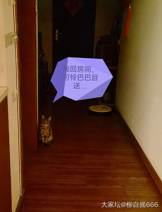 幸福的时光总是短暂…😏_猫