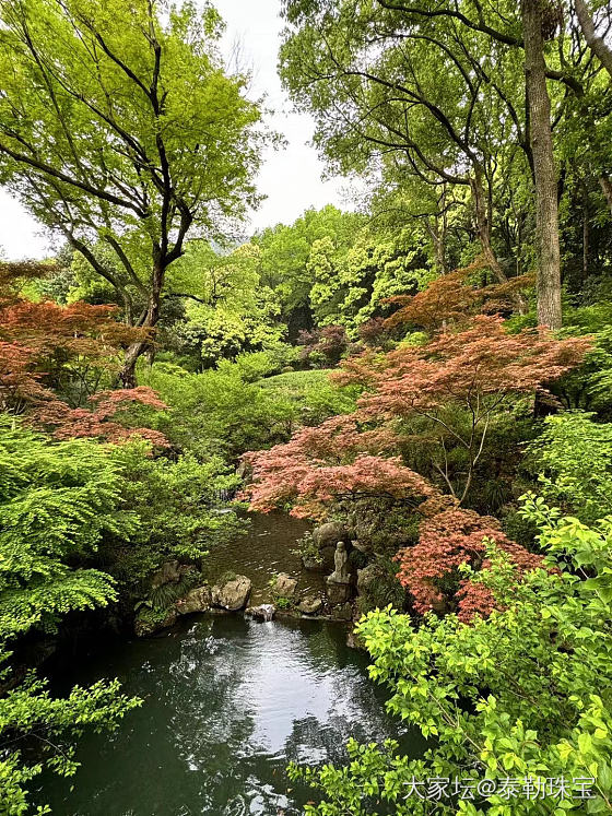 “人闲桂花落，鸟鸣山更幽。”_商户