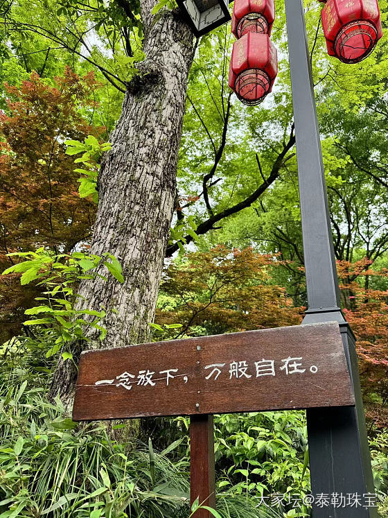 “人闲桂花落，鸟鸣山更幽。”_商户