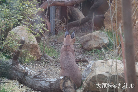 去年的动物园_旅游