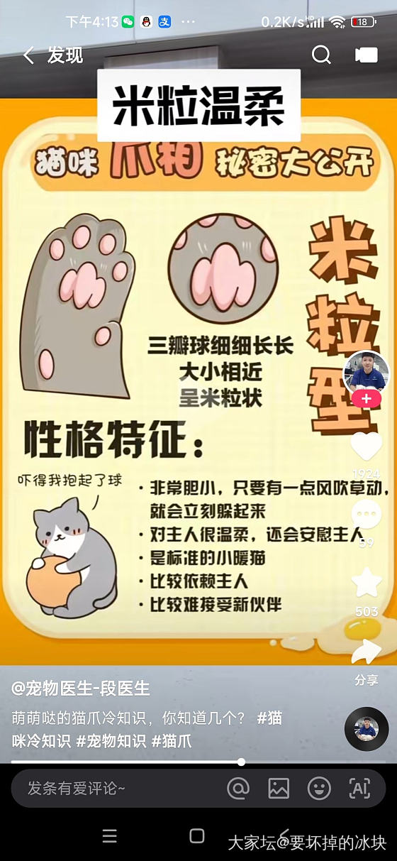 你家小可爱什么性格，对号入座_猫