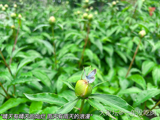 春雨绵绵_景色