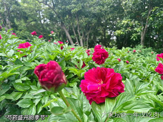 春雨绵绵_景色