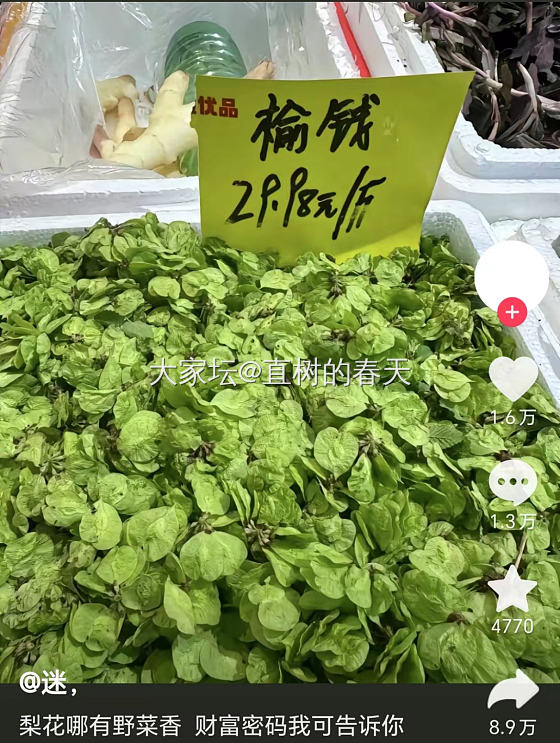 野菜很贵了吗？_生活植物闲聊